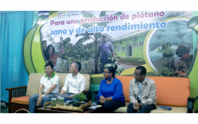 Presentan resultados del proyecto desarrollo del plátano en Nicaragua 2018-2019