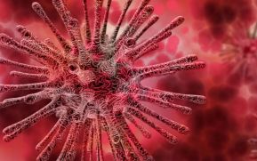 Nicaragua fortalece medidas de prevención de coronavirus en puestos fronterizos
