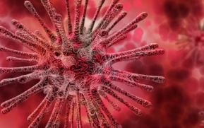 Ministerio de Salud da a conocer las medidas frente al Coronavirus