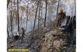 Ejército de Nicaragua participa en sofocación de incendio forestal en Estelí