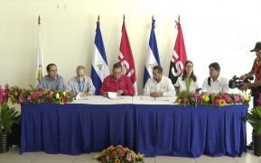 Nicaragua exportará carne de pollo en los próximos años