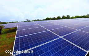 Más de 4 mil paneles solares que se instalarán en la Costa Caribe ya están en Nicaragua