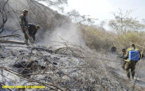 Ejército de Nicaragua participa en sofocación de incendio forestal en volcán Casitas