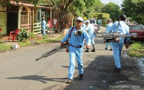 Continúa jornada de fumigación en los barrios de Managua