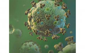¿Cuántos casos de coronavirus hay actualmente en Nicaragua?