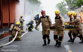 Bomberos brindaron más de 200 servicios en las últimas 24 horas