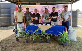 Misión Técnica de Taiwán e INTA entregan vitroplantas de plátano a productores chinandeganos