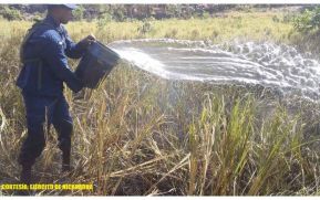 Ejército de Nicaragua participó en sofocación de incendio agropecuario en la Isla de Ometepe