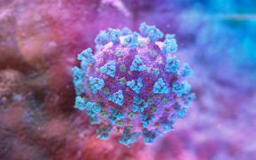 INFORME 18: Centroamérica unida contra el Coronavirus (COVID-19)