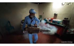 Managua: Brigadas de salud no bajan la guardia contra el mosquito transmisor del dengue