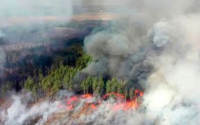Lo que se sabe de los incendios en la zona de Chernóbil