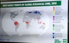 Nicaragua participa en conmemoración del Día Internacional de la Biodiversidad