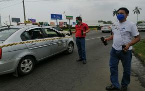 Inafor entrega árboles de eucalipto en Managua