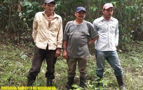Ejército brindó acompañamiento a comisión que evaluó daños ocasionados por despale en Rosita