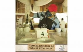 Presentarán a ganadores del Certamen Taza de la Excelencia 2020