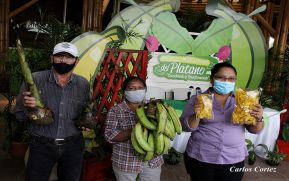 Conozca los beneficios del plátano en el parque Nacional de Ferias
