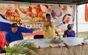 Inauguran granja de mejoramiento Nacional genético de aves de patio en San Isidro, Matagalpa