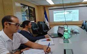 Delegación de Nicaragua en taller sobre manejo de insectos descortezadores