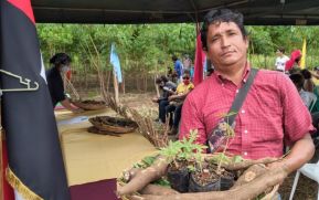 Instituto Nicaragüense de Tecnología Agropecuaria presenta dos nuevas variedades de yuca