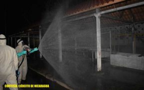 Más de 250 efectivos militares continúan jornada de desinfección contra la Covid-19 en Managua