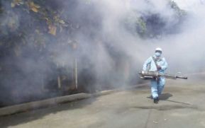 La fumigación y la limpieza han sido claves en el control del zancudo en el barrio Carlos Núñez