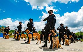 Departamento de Operaciones Especiales de la Policía Nacional gradúa a 40 agentes de la técnica canina