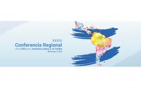 Conferencia Regional de la FAO buscará soluciones conjuntas a los desafíos de la alimentación y agricultura de América Latina y el Caribe