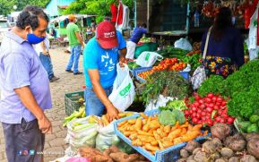Estos son los productos de la canasta básica que disminuyeron sus precios