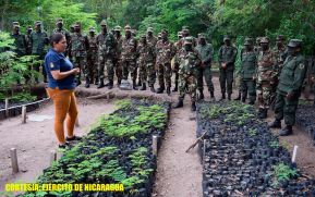 Desarrollan capacitación ambiental para el manejo de semillas y plantas en viveros forestales