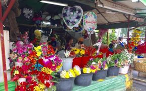 Comerciantes de Nicaragua listos para conmemorar el Día de los Difuntos