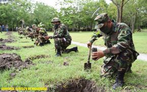 Primer Comando Militar Regional del Ejército participa en jornada de reforestación ambiental