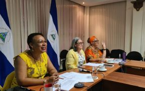 Nicaragua participa en reunión virtual del Parlamento Indígena Americano (PIA)