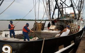 Fuerza Naval brinda protección y seguridad a buques mercantes y flota pesquera en el Mar Caribe