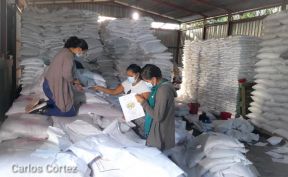 Gobierno de Nicaragua envía más de 59 mil Bonos Productivos Tecnológicos a familias afectadas por los huracanes