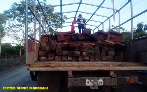 Ejército de Nicaragua realizó la ocupación de 4,345 pies tablar de madera