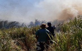 Informe actualizado sobre verificación de puntos de calor