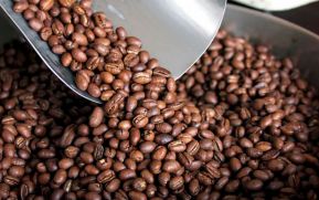 Ministro de Hacienda y Crédito Público: Será un buen año para el café nicaragüense