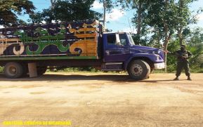 Ejército de Nicaragua realiza ocupación de madera