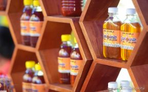 Apicultura nicaragüense avanza e incrementa productividad y exportaciones