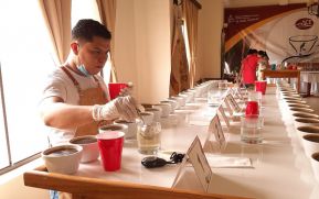Inicia segunda etapa del XVIII Certamen Taza de Excelencia Nicaragua 2021
