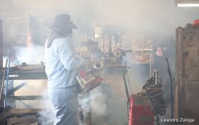 Minsa fumiga viviendas del barrio Villa Reconciliación Sur