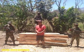 Ejército de Nicaragua ocupó 4,602.034 pies tablar de madera de especies en veda