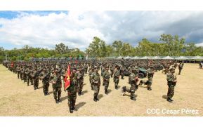 Ejército de Nicaragua lanza plan de protección y seguridad de cosecha cafetalera