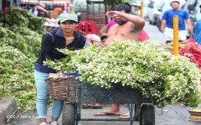 Mercado Oriental activado en ventas por celebración de la Purísima