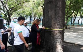 Alcaldía de Managua inicia censo forestal en más de 100 parques de la capital