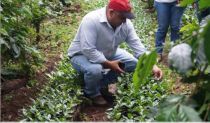 Visitan a Unión de Cooperativas Agropecuarias de café en San Juan de Río Coco