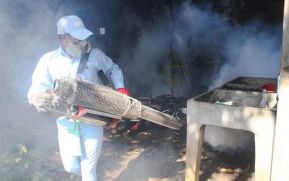 Jornada de fumigación y aplicación de BTI, claves para eliminar al dengue