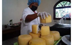 Sistema de Producción visita finca productora de queso en Sébaco