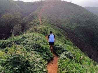 El Crucero tierra de neblina, flores y café