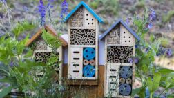 Hoteles para abejas, un nuevo invento ecológico en Colombia